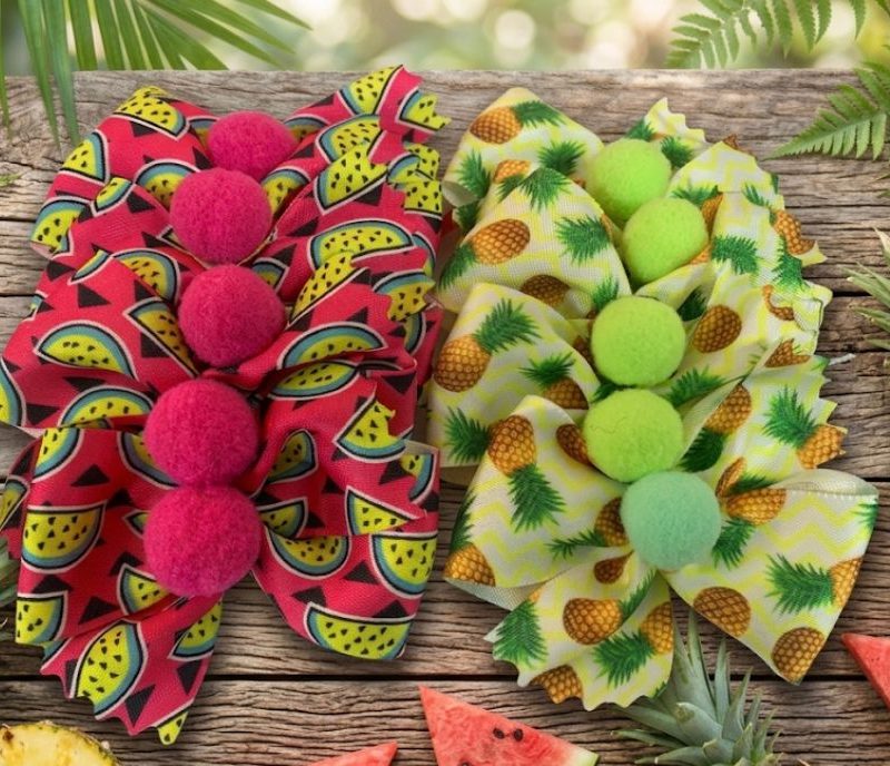10 Gargantilhas Média Frutas