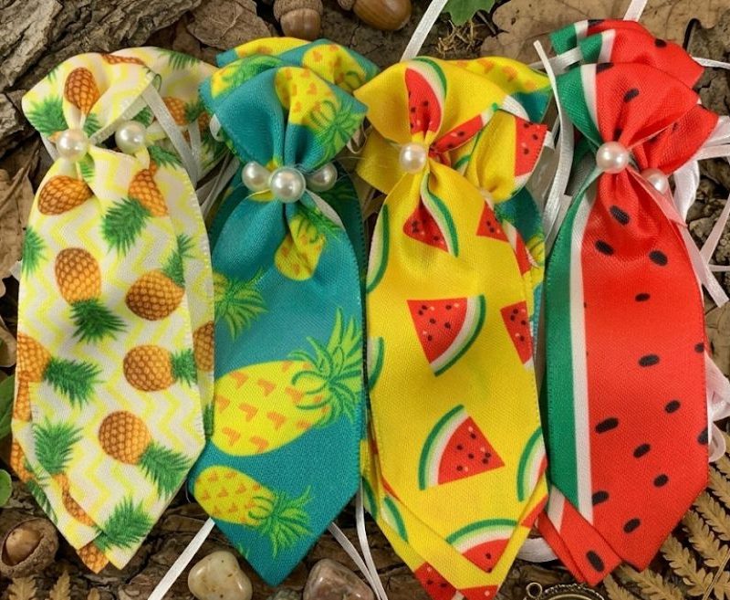 20 Gravatas M Estampada Frutas